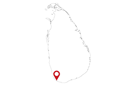 Tour Map